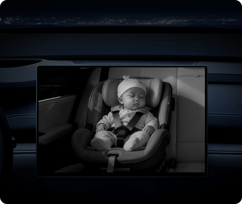 <h4><strong>Night Vision</strong></h4>